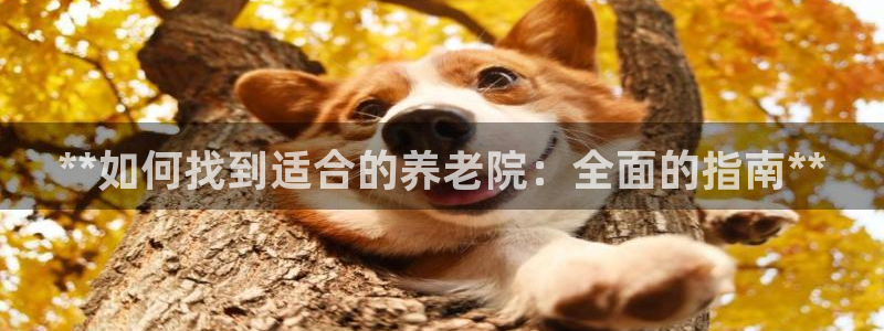 韦德的地位