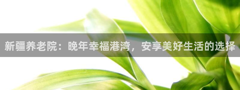 韦德1946官方网站