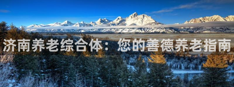 韦德全系列