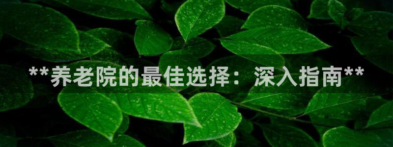 韦德1946官网最新版