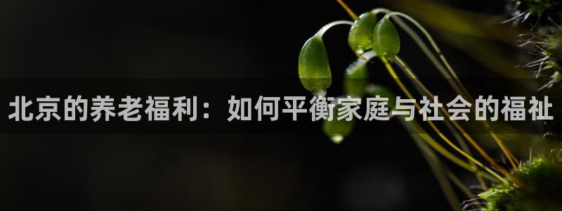1946韦德官方网站