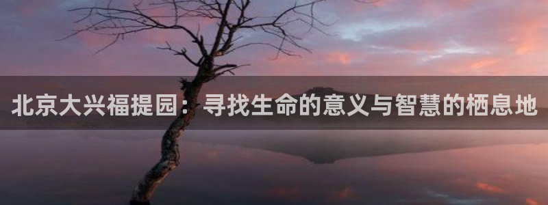 韦德官网注册推荐网站