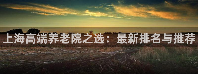 韦德1946官网