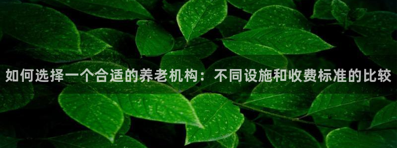 韦德官网注册推荐网站是什么