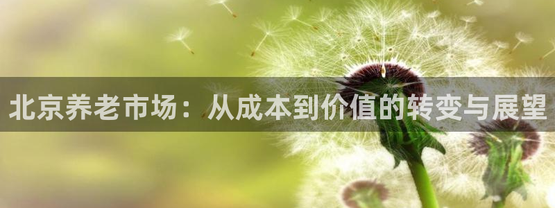 韦德1946体育