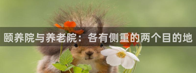 韦德官方下载
