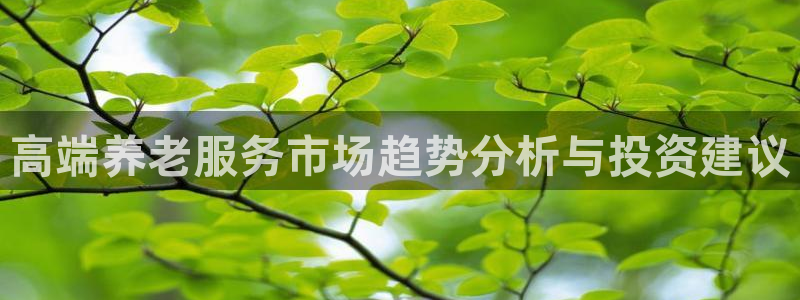 韦德2014