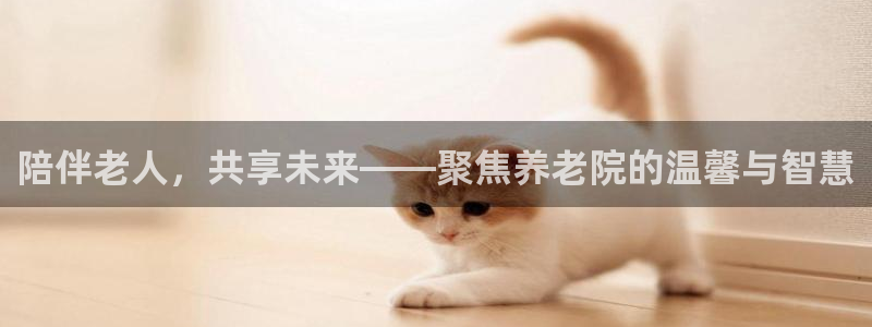 韦德1946手机网址