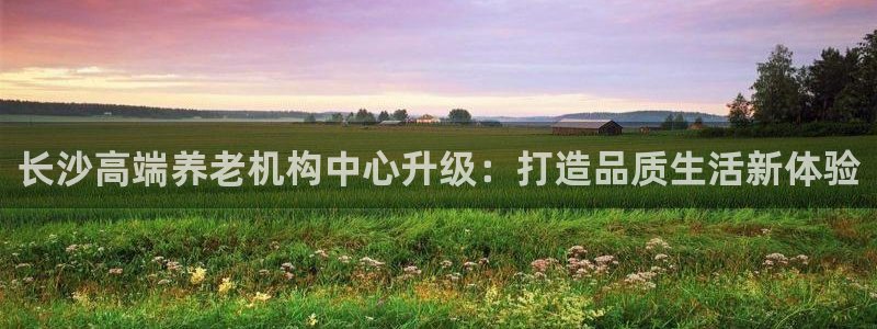 韦德1567