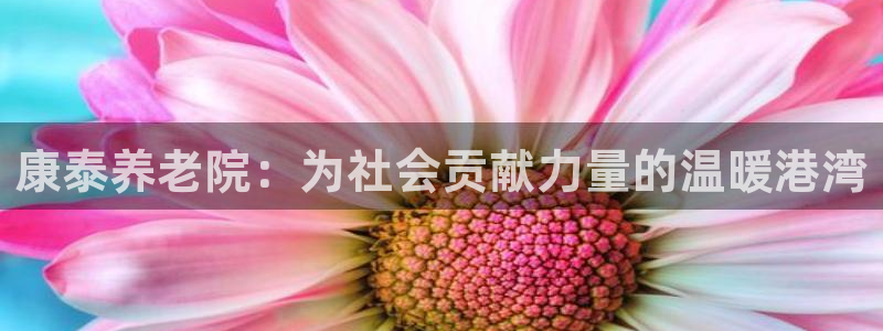 韦德2016