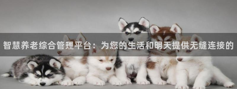 韦德app官方网站