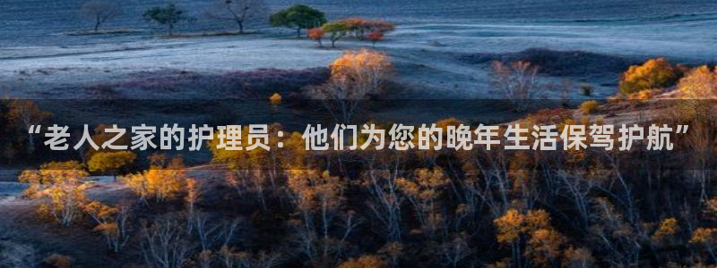 韦德网址是多少