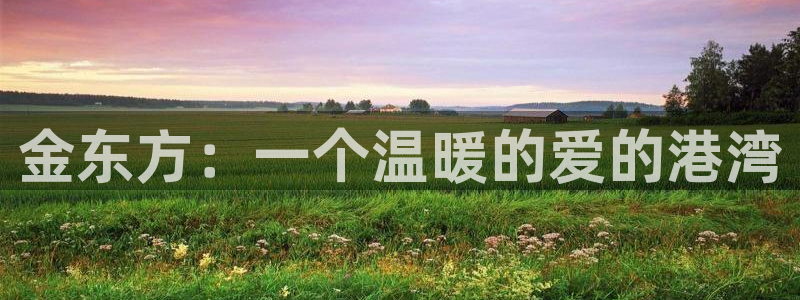 韦德bietview官网