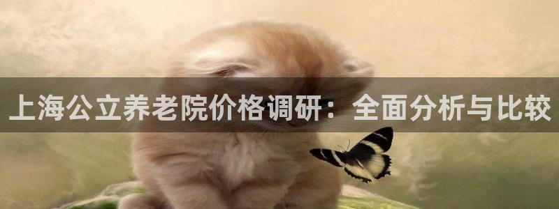 韦德1946体育官方入口