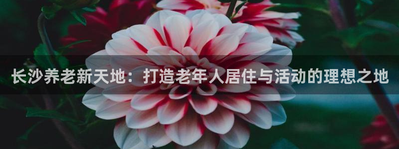 韦德 1946