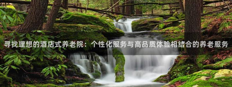 韦德观战总决赛G3
