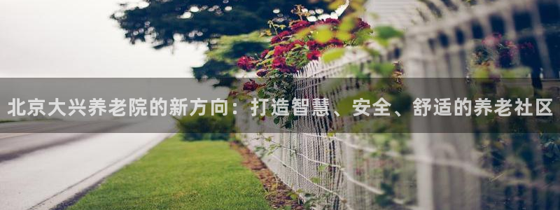 韦德新品