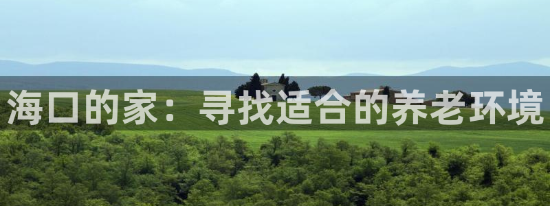 韦德的游戏
