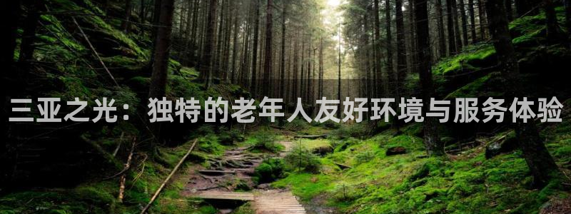韦德属于什么