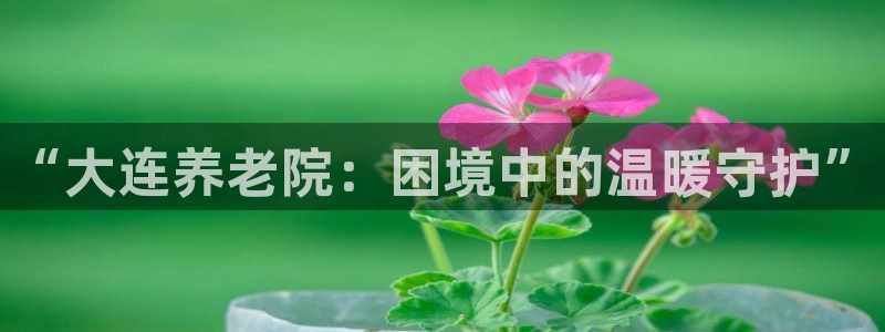 韦德游戏注册需要什么