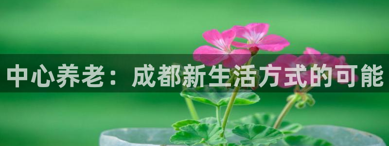 韦德官网注册推荐网站下载