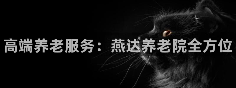 韦德1946中文官网