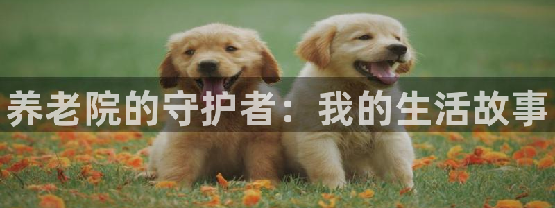 韦德1946官网最新版