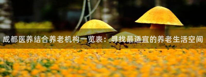 韦德官网注册推荐网站是什么