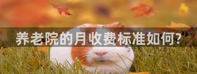 韦德1946源自英国