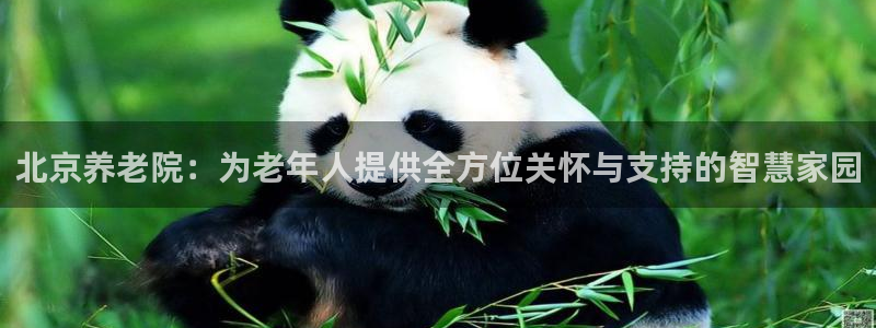 韦德1946备用网站